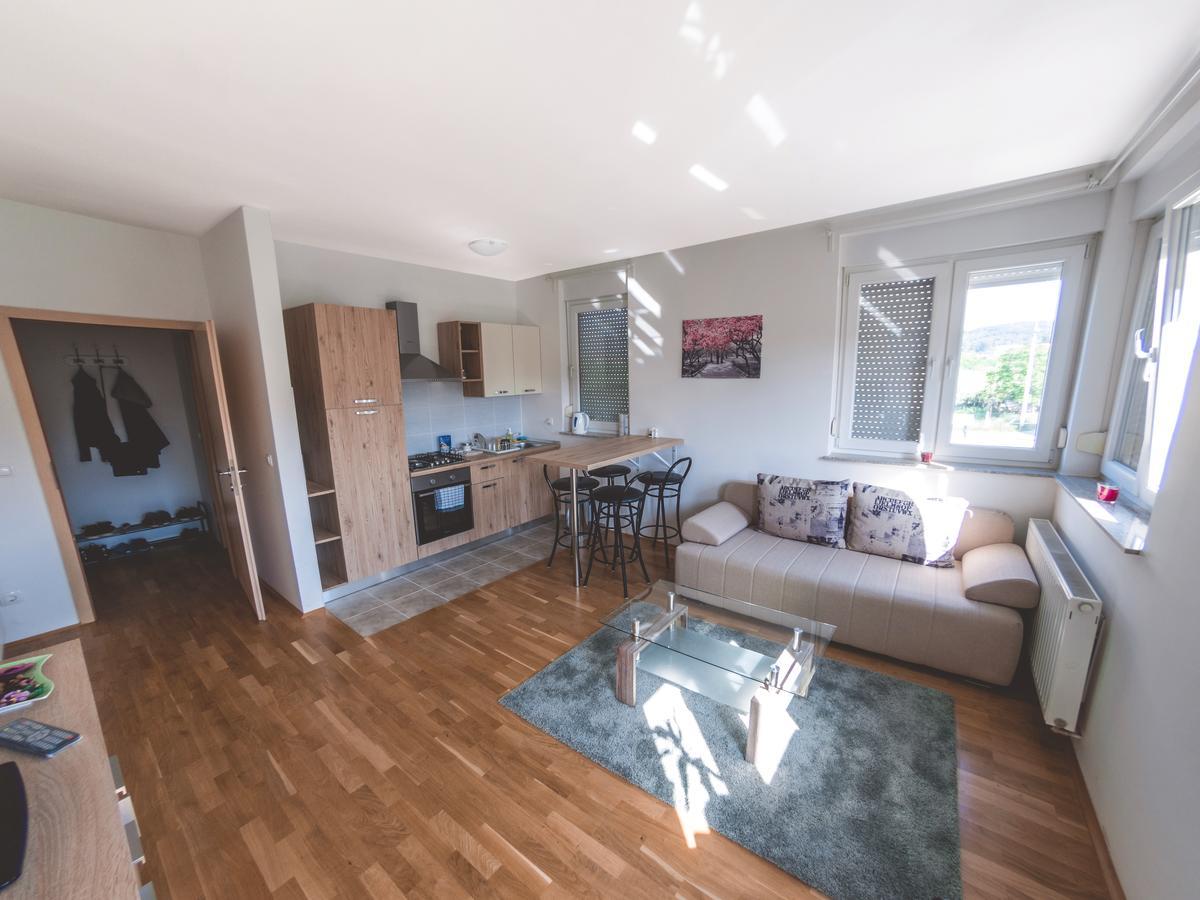 Apartment Daphnia Zagreb Bagian luar foto
